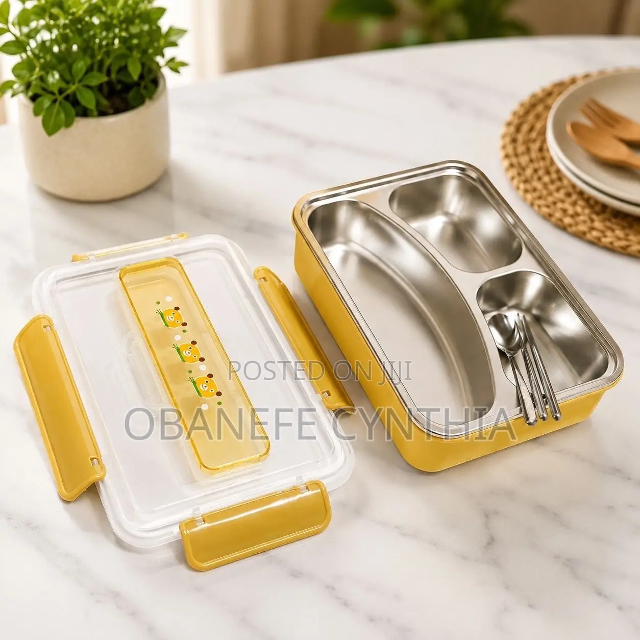 Stainless Steel Lunch Plate