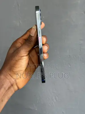 Apple iPhone 12 Pro Max 256 GB Blue