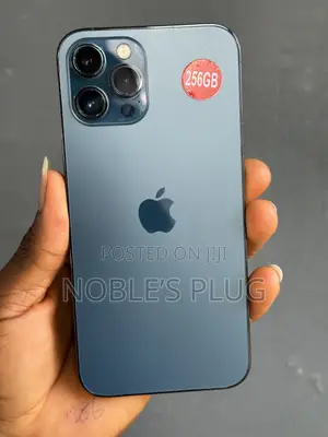 Apple iPhone 12 Pro Max 256 GB Blue
