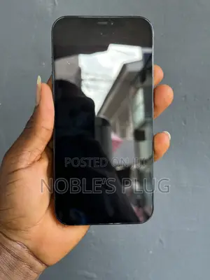 Apple iPhone 12 Pro Max 256 GB Blue