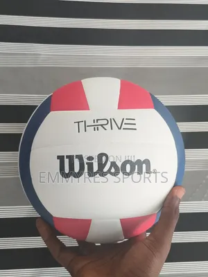 Wilson Volleyball