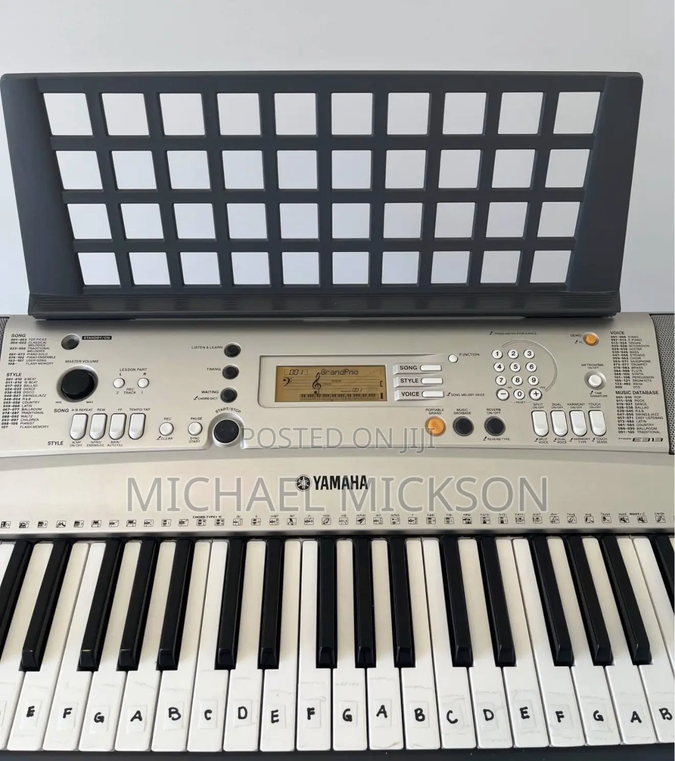 Yamaha PSR E313