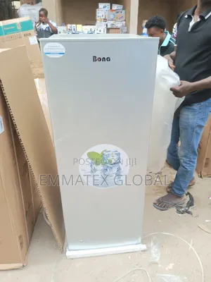 Fast Ice Block Bona Upright Standing Freezer