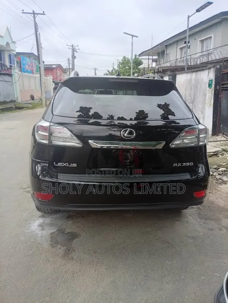 Lexus RX 2010 Black