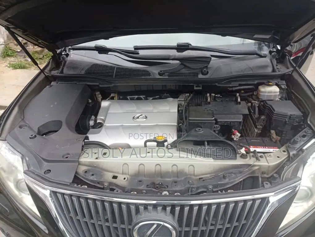 Lexus RX 2010 Black