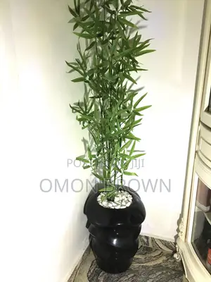 Flower and Vase
