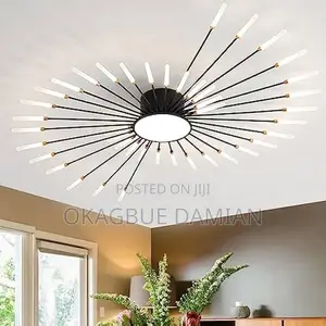 Spring Fireworks Led Ceiling Light (28hands)