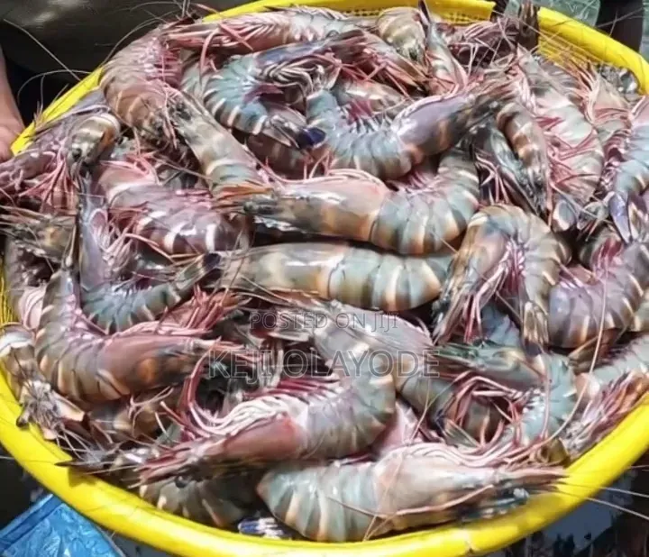 Seafood Weekend