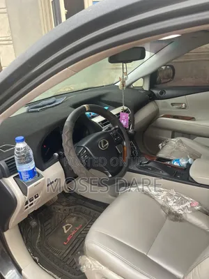 Lexus RX 350 2010 Gray