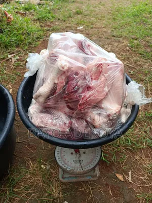 Big Broiler Chicken for Sale