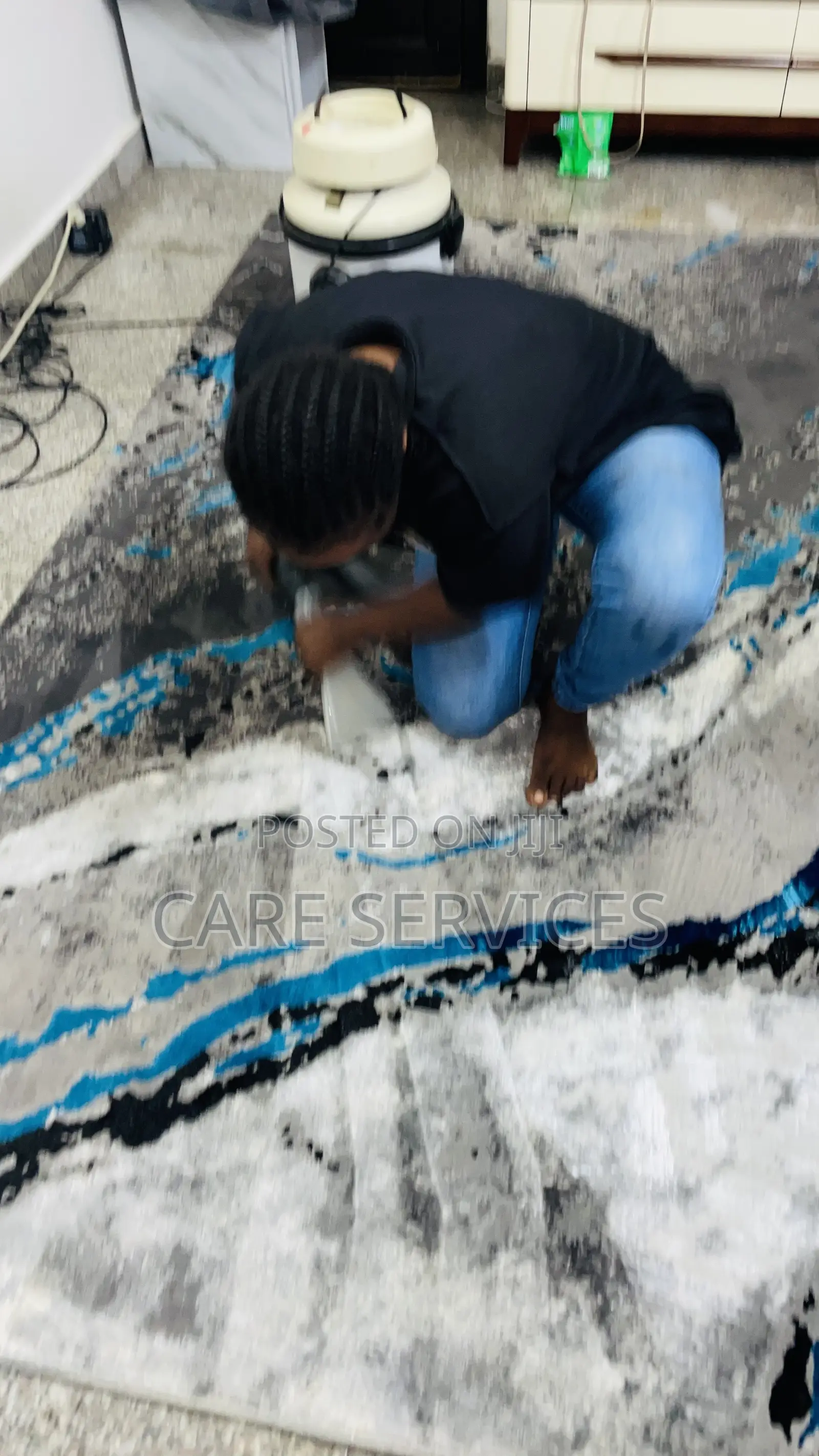 Amazing Sofa/Carpet Rug Transformation Cleaning Service