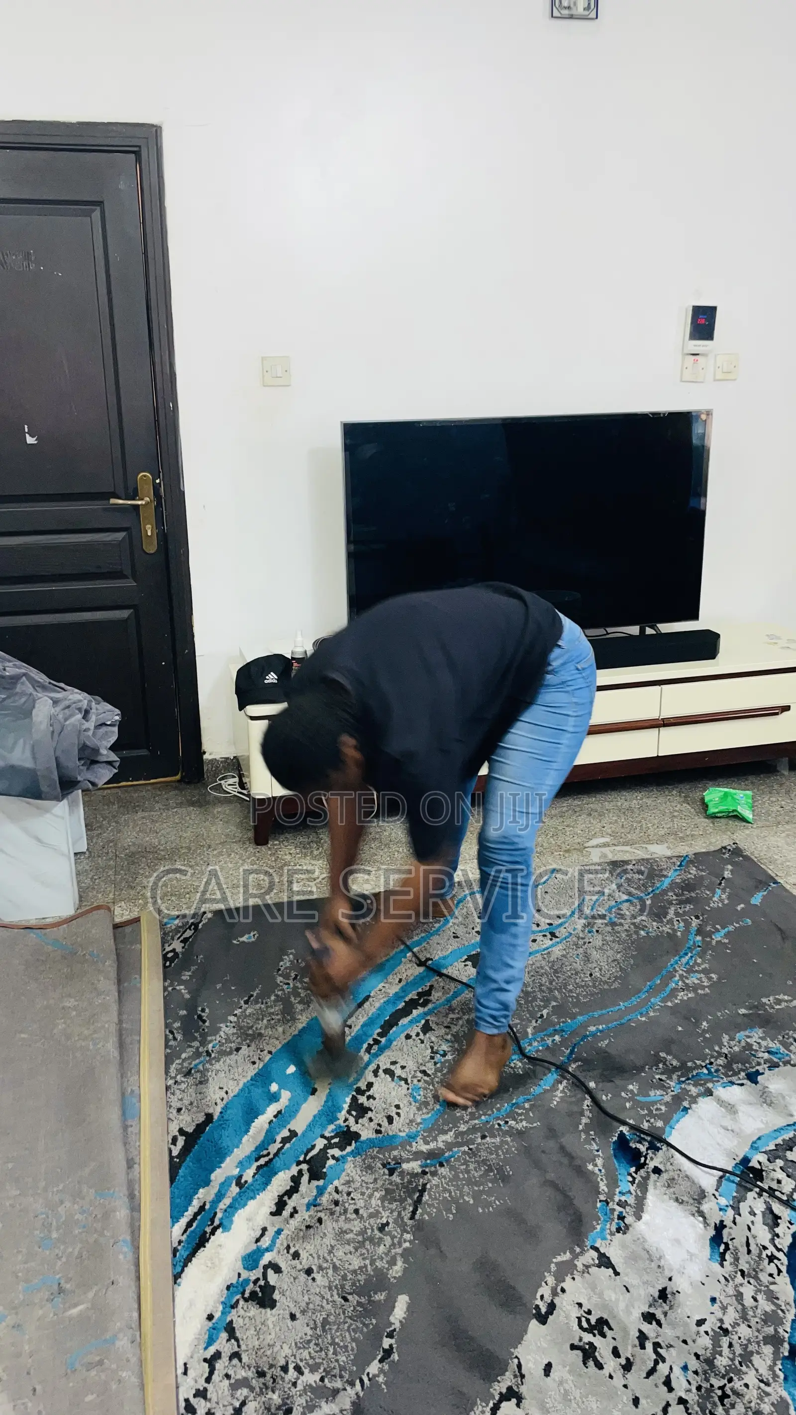 Amazing Sofa/Carpet Rug Transformation Cleaning Service