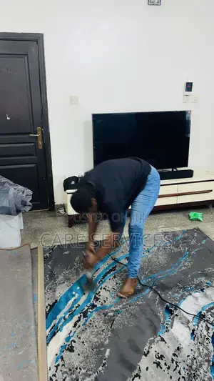 Amazing Sofa/Carpet Rug Transformation Cleaning Service