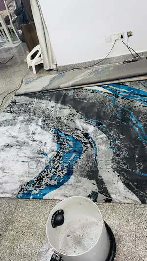 Amazing Sofa/Carpet Rug Transformation Cleaning Service