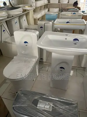 Executive Toilet With Design and Basin