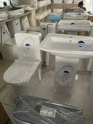 Executive Toilet With Design and Basin