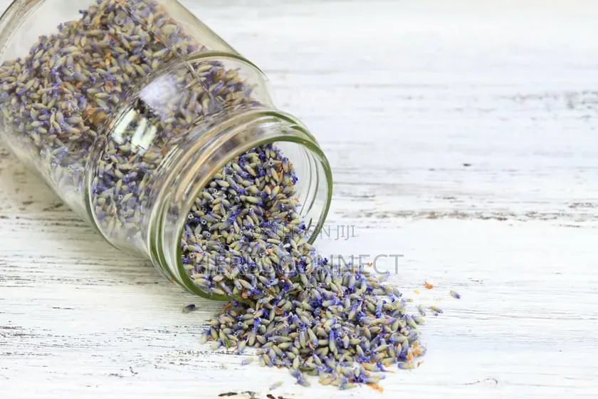 Organic Lavender Bud -125g