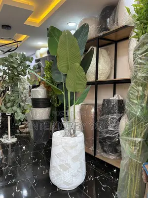 Decorative Plants
