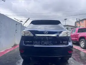Lexus RX 2010 Gray