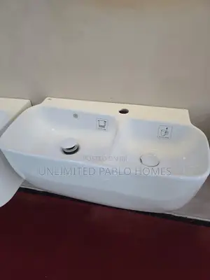Luxury Modern Double Basin Sink