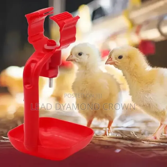 Birds Nipple Drinker With Cup