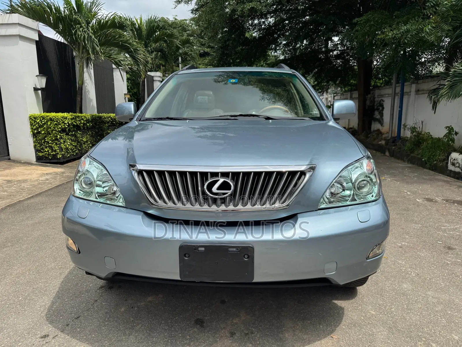 Lexus RX 2008 Blue