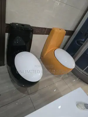 Luxury Modern Toilet