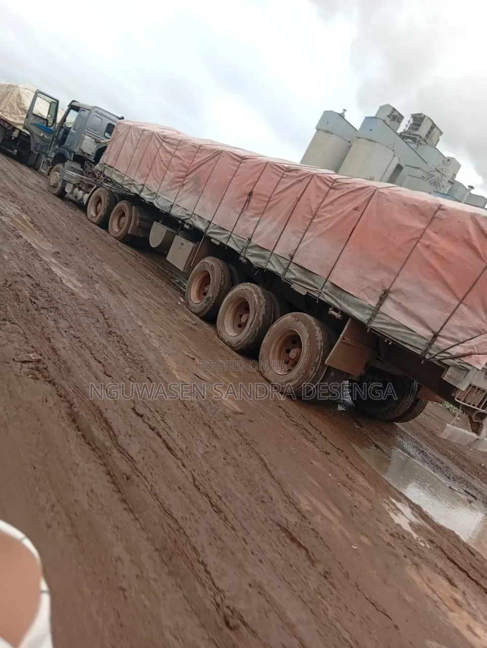 Dangote and Bua Cement Fast Delivery