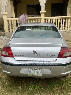 Peugeot 407 2005 Gray
