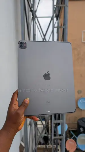 Apple iPad Pro 11 (2021) 256 GB Gray