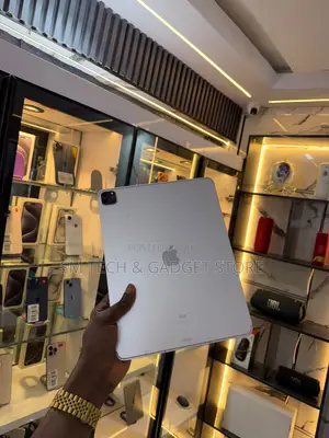 Apple iPad Pro 11 (2021) 256 GB Gray