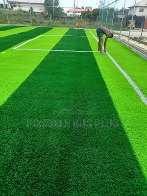 Fully Installed Pitch Grass