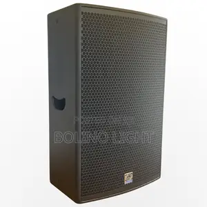 Single 15 Inch Speaker