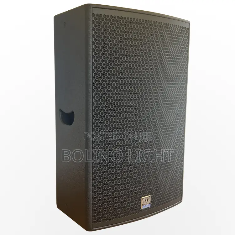 Single 15 Inch Speaker