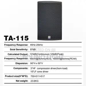 Single 15 Inch Speaker