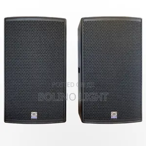 Single 15 Inch Speaker
