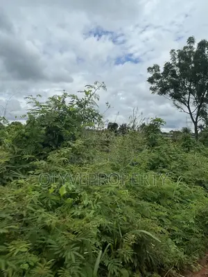 Beautiful Plots for Sale at Olodu Ogwashi