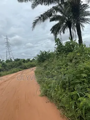 Beautiful Plots for Sale at Olodu Ogwashi