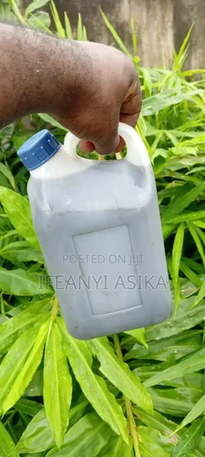 Rabbit Urine Available in Portharcourt