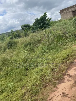 Over 1,000 Plots of Land for Sale at Ukala Okpuno Delta State