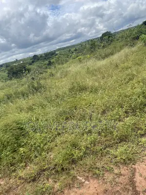 Over 1,000 Plots of Land for Sale at Ukala Okpuno Delta State