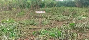 Land for Sale at Residential Area. Olobedu Ayekale