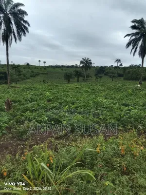 13 Acres of Land
