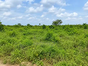 A Plot of Land