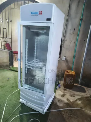 Scanfrost 300L Shop Display Cooler