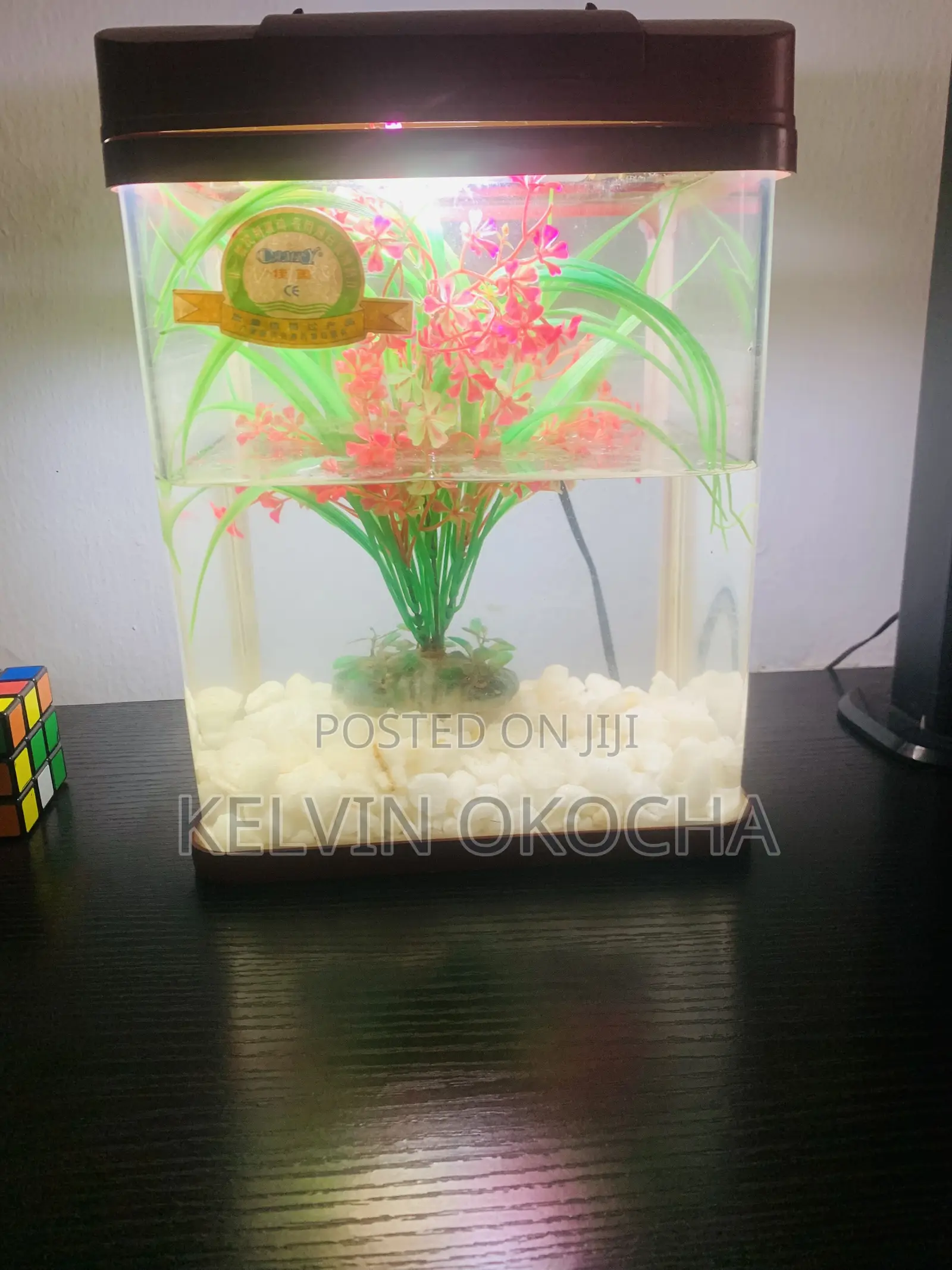 Fish Aquarium