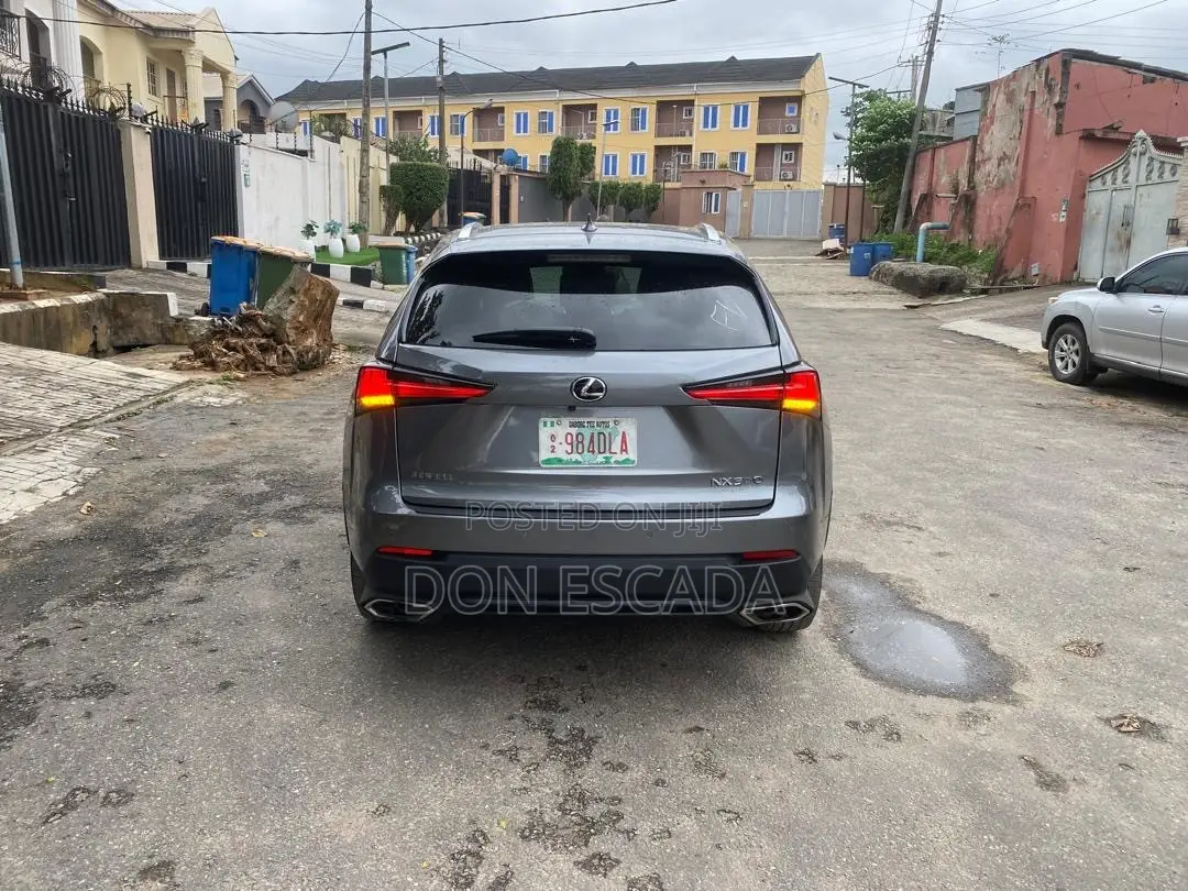 Lexus NX 2022 Gray