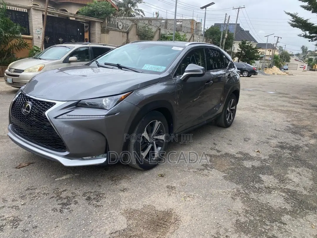 Lexus NX 2022 Gray