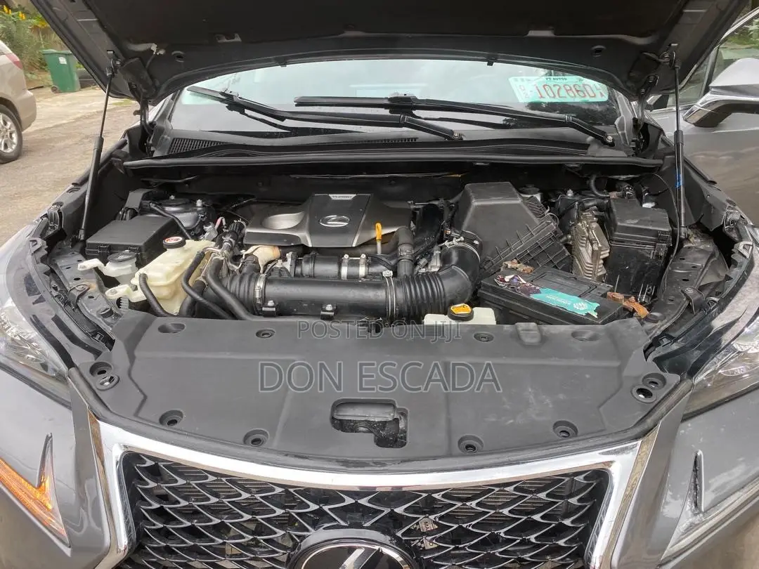 Lexus NX 2022 Gray
