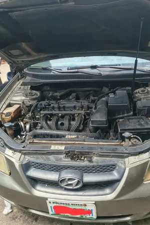 Hyundai Sonata 2007 Gray